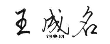 駱恆光王成名行書個性簽名怎么寫