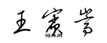 梁錦英王賓嵩草書個性簽名怎么寫