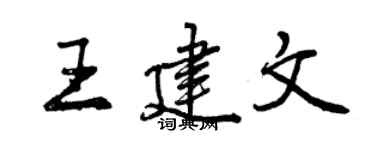 曾慶福王建文行書個性簽名怎么寫