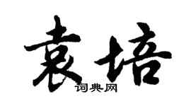 胡問遂袁培行書個性簽名怎么寫