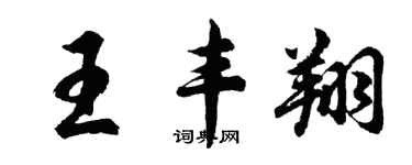 胡問遂王豐翔行書個性簽名怎么寫