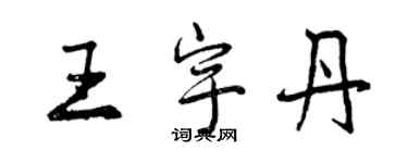 曾慶福王宇丹行書個性簽名怎么寫