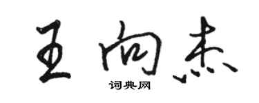 駱恆光王向傑行書個性簽名怎么寫