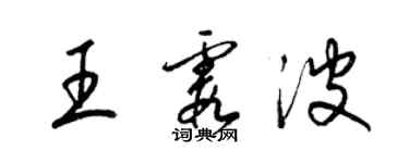 梁錦英王霞波草書個性簽名怎么寫