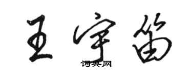 駱恆光王宇笛行書個性簽名怎么寫