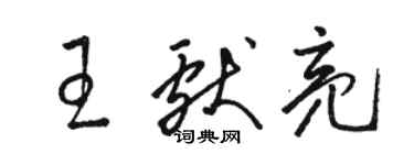 駱恆光王獻亮草書個性簽名怎么寫