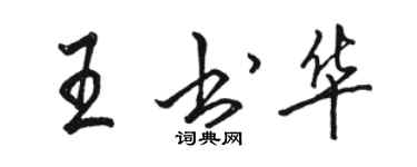 駱恆光王書華行書個性簽名怎么寫