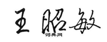 駱恆光王昭敏行書個性簽名怎么寫