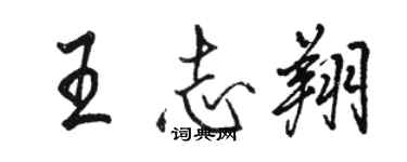 駱恆光王志翔行書個性簽名怎么寫