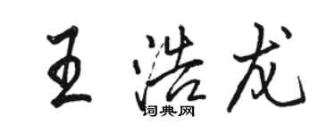 駱恆光王浩龍行書個性簽名怎么寫