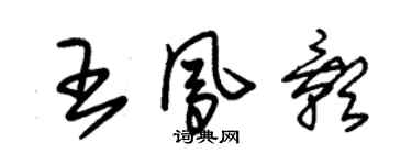 朱錫榮王鳳影草書個性簽名怎么寫