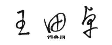 駱恆光王田卓草書個性簽名怎么寫