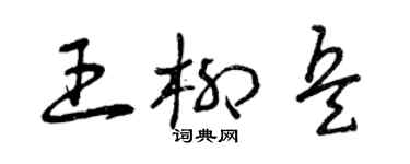 曾慶福王柳兵草書個性簽名怎么寫