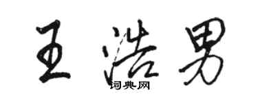 駱恆光王浩男行書個性簽名怎么寫