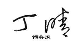 駱恆光丁晴草書個性簽名怎么寫