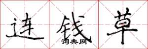 侯登峰連錢草楷書怎么寫