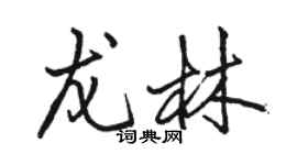 駱恆光龍林行書個性簽名怎么寫