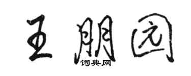 駱恆光王朋園行書個性簽名怎么寫