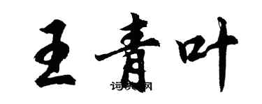 胡問遂王青葉行書個性簽名怎么寫