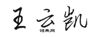 駱恆光王雲凱行書個性簽名怎么寫