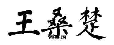 翁闓運王桑楚楷書個性簽名怎么寫