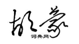 駱恆光胡蒙草書個性簽名怎么寫