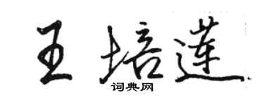 駱恆光王培蓮行書個性簽名怎么寫