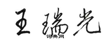 駱恆光王瑞光行書個性簽名怎么寫
