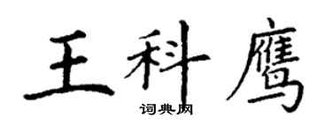 丁謙王科鷹楷書個性簽名怎么寫