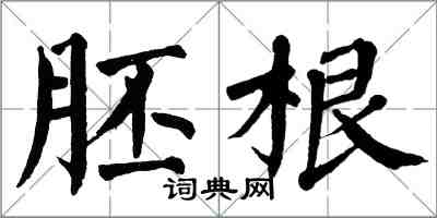 翁闓運胚根楷書怎么寫