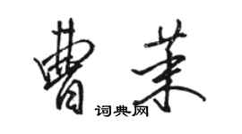 駱恆光曹茉行書個性簽名怎么寫