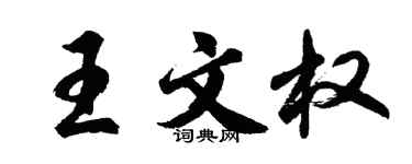 胡問遂王文權行書個性簽名怎么寫