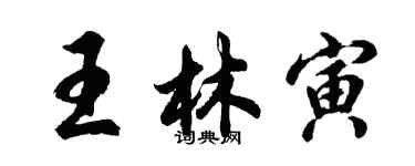 胡問遂王林寅行書個性簽名怎么寫