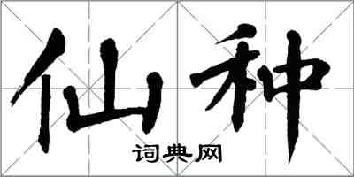 翁闓運仙種楷書怎么寫