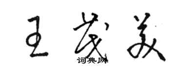 駱恆光王茂美草書個性簽名怎么寫