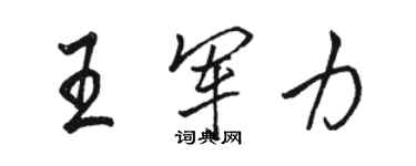 駱恆光王軍力行書個性簽名怎么寫