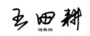 朱錫榮王田耕草書個性簽名怎么寫