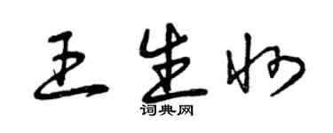 曾慶福王生州草書個性簽名怎么寫