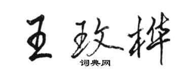 駱恆光王玫樺行書個性簽名怎么寫