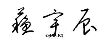 梁錦英蘇宇辰草書個性簽名怎么寫