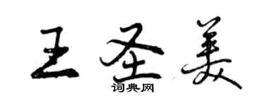 曾慶福王聖美行書個性簽名怎么寫