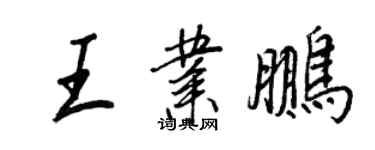 王正良王業鵬行書個性簽名怎么寫