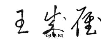 駱恆光王成雁草書個性簽名怎么寫