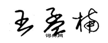 朱錫榮王孟楠草書個性簽名怎么寫