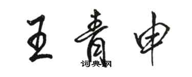 駱恆光王青申行書個性簽名怎么寫