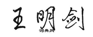 駱恆光王明劍行書個性簽名怎么寫