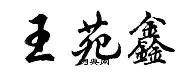 胡問遂王苑鑫行書個性簽名怎么寫