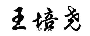 胡問遂王培堯行書個性簽名怎么寫