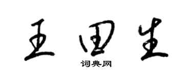 梁錦英王田生草書個性簽名怎么寫