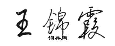 駱恆光王錦霞行書個性簽名怎么寫